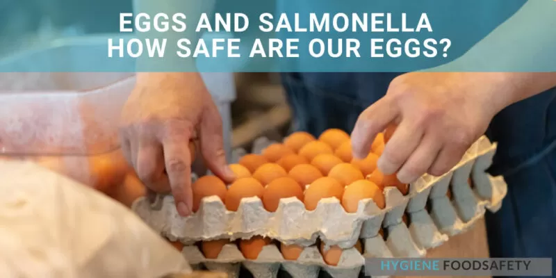 Eggs And Salmonella : How Safe Are Our Eggs?